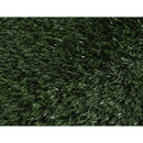 Pasto De Entrenamiento 43X68 Cm