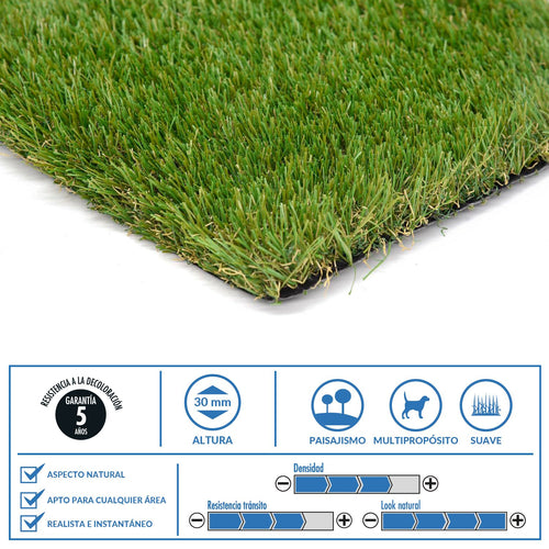 Pasto Sintetico 30 Mm 2X10 M