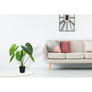 Planta Artificial Oreja De Elefante 117 Cm Verde