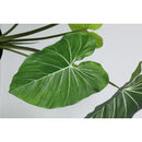 Planta Artificial Oreja De Elefante 117 Cm Verde