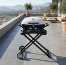 Carro Plegable Para Parrilla Portatil