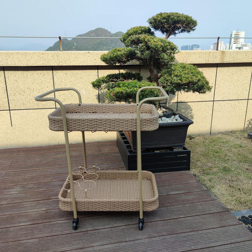 Carrito De Terraza 2 Pisos