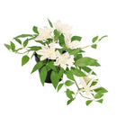 Planta Artificial Clematis 23 Cm Blanco