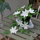 Planta Artificial Clematis 23 Cm Blanco