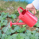 Regadera Metalica Para Jardin 2 Litros Nomica