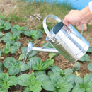 Regadera Metalica Para Jardin 2 Litros Nomica