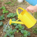 Regadera Metalica Para Jardin 2 Litros Nomica