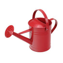 Regadera Metalica Para Jardin 2 Litros Nomica