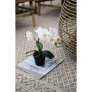 Planta Artificial Orquidea 34 Cm Colores Surtidos