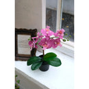 Planta Artificial Orquidea 34 Cm Colores Surtidos