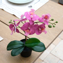 Planta Artificial Orquidea 34 Cm Colores Surtidos