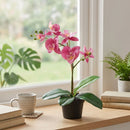 Planta Artificial Orquidea 34 Cm Colores Surtidos
