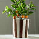 Macetero Rayas Marron 20 Cm