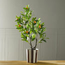 Maceteros Rayas Marron 15Cm