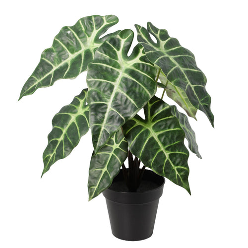 Planta Artificial Alocasia 40 Cm Verde