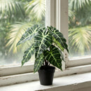 Planta Artificial Alocasia 40 Cm Verde