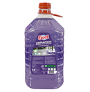 Limpiador Piso Lavanda Bidón 5 Lt