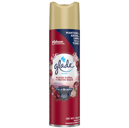 Desodorante Ambiental Aerosol Frutos Rojos 360 Ml