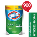 Limpiador Antihongos  Doypack 900 Cc