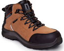 BOTIN NORSEG NS 592 LION CAFe 40