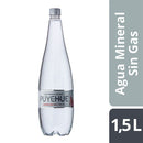 Agua Sin Gas Pet 1.5 Lt ALIMENTOS PEYUHUE 
