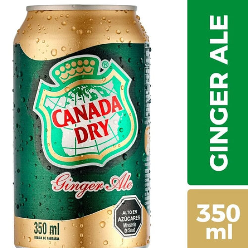 Bebida Ginger Ale Lata 350 Cc ALIMENTOS GINGER ALE 