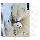 Cuaderno Universitario Wild Life 7Mm Bear 100 Hojas