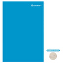 Carpeta Cartulina Pigmentada Celeste Con Gusano