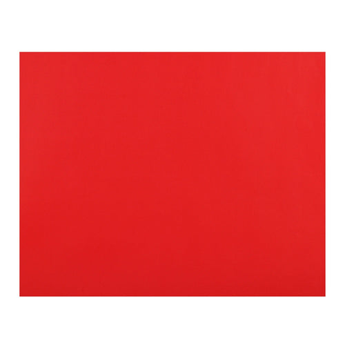 Cartulina Roja 55X75 Cm