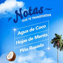 Desodorante Ambiental Aerosol Coco Vibes 315 Cc