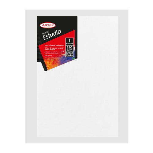 Bastidor Estudio 20X30 Cm 250 Gr
