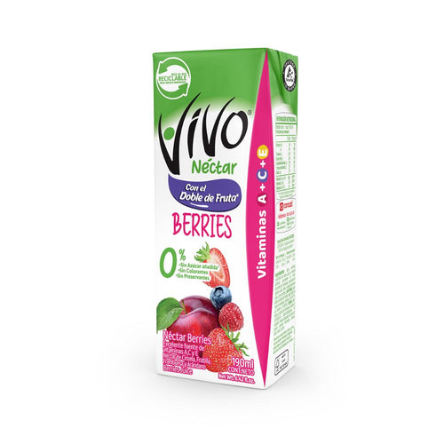 Jugo Néctar  Berries 190 Ml