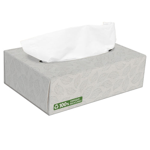 Pañuelo Facial Doble Hoja 75 Hojas