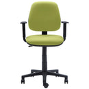 Silla Pc Brazos Verde