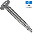 Tornillo Autoperforante Metal 2 12 mm 100 unidad(es).