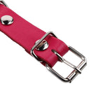Collar Para Perro Suela 50X2. 5 Cm Mascotas