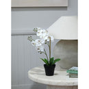 Planta Artificial Orquidea 48 cm Blanco