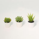 Set 2 Suculentas Artificiales 14 cm Verde