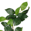 Vara Avellano Seda Artificial 65 Cm Verde