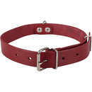 Collar Para Perro 75X3 Cm Hebilla Metalica Mascotas