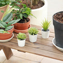 Set 2 Suculentas Artificiales 14 cm Verde
