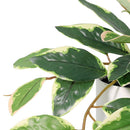 Planta Artificial Hoya 50 cm Verde