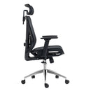 Silla Pc Ergonomica Leon Negro