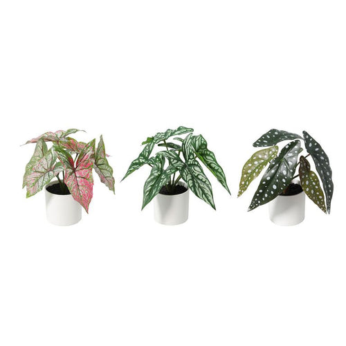 Planta Artificial 25 cm Verde; Blamco