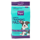 30 Sabanillas De Entrenamiento P/Perros Con Carbon 60X90 Cm