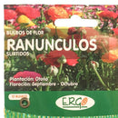 Bulbo ranunculo surtido 12 unidades