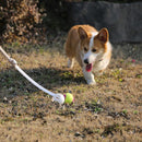 Juguete para perros lanza pelotas