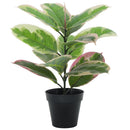 Planta Artificial Gomero 43 cm Rosado