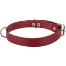 Collar Para Perro 75X3 Cm Hebilla Metalica Mascotas