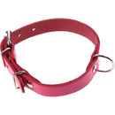 Collar Para Perro 40X2 Cm Accesorio Mascota